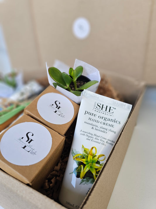 Hand cream tube and box with a plant on a beige background
