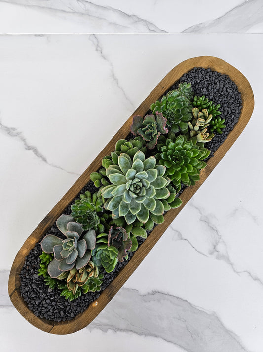Live succulent arrangement in rustic wooden trough planter for minimalist decor