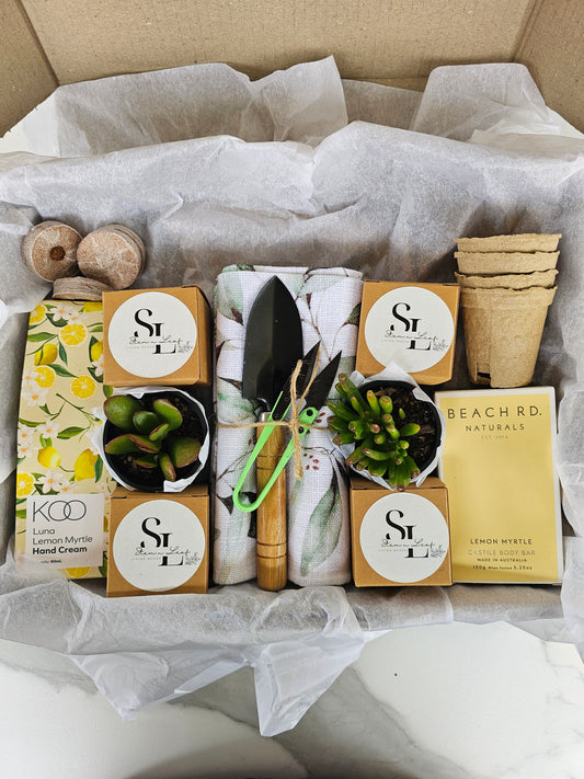 Kitchen Garden Herb Starter Gift Box Grow Fresh Basil, Mint, Oregano & Parsley