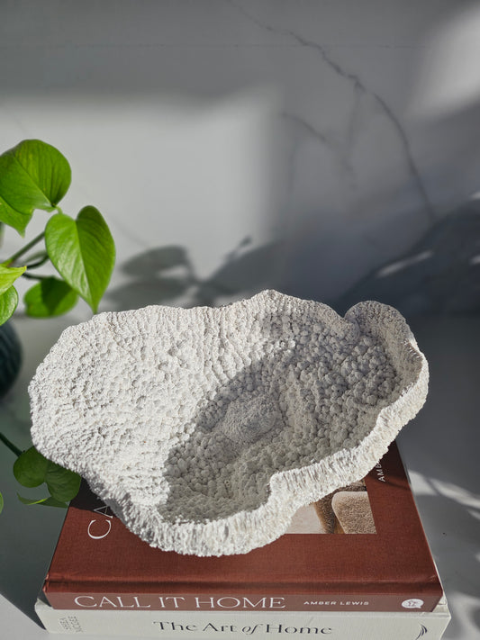 Coral Bowl | Sculptural Decorative Bowl | Neutral Textured Home Decor | Modern Coastal Styling