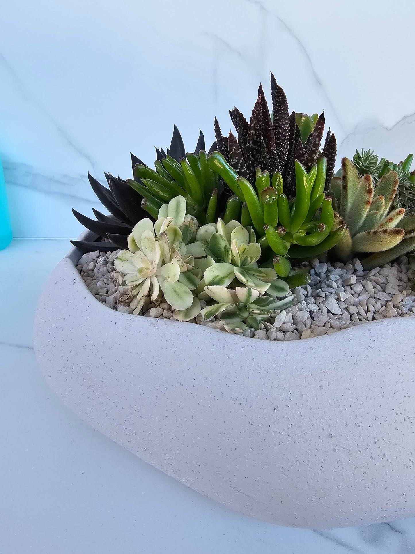 Live succulent centerpiece in large neutral ceramic round bowl planter