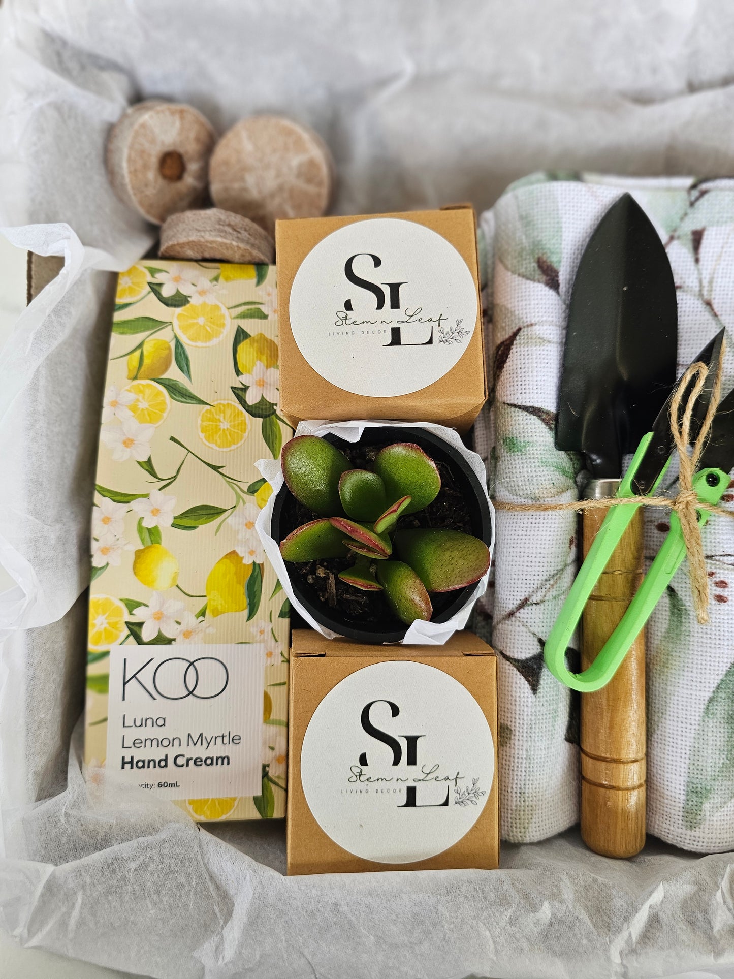 Kitchen Garden Herb Starter Gift Box Grow Fresh Basil, Mint, Oregano & Parsley