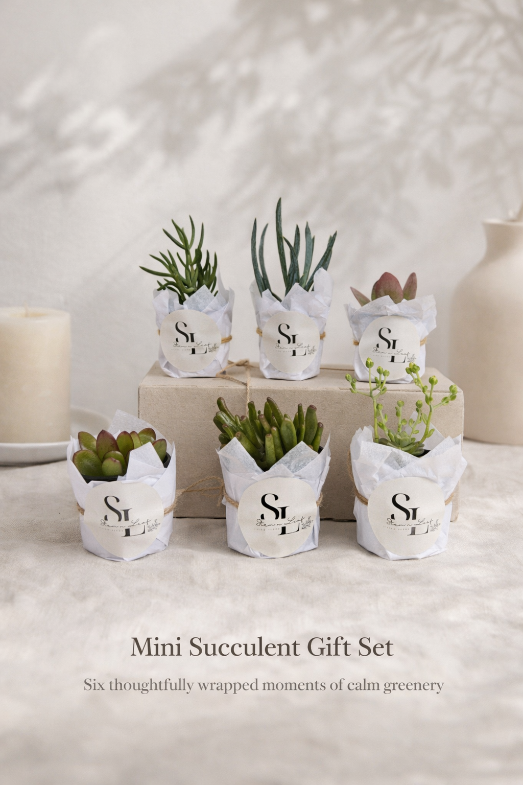 Why Plants Make Better Gifts Than Flowers (And Last Longer)