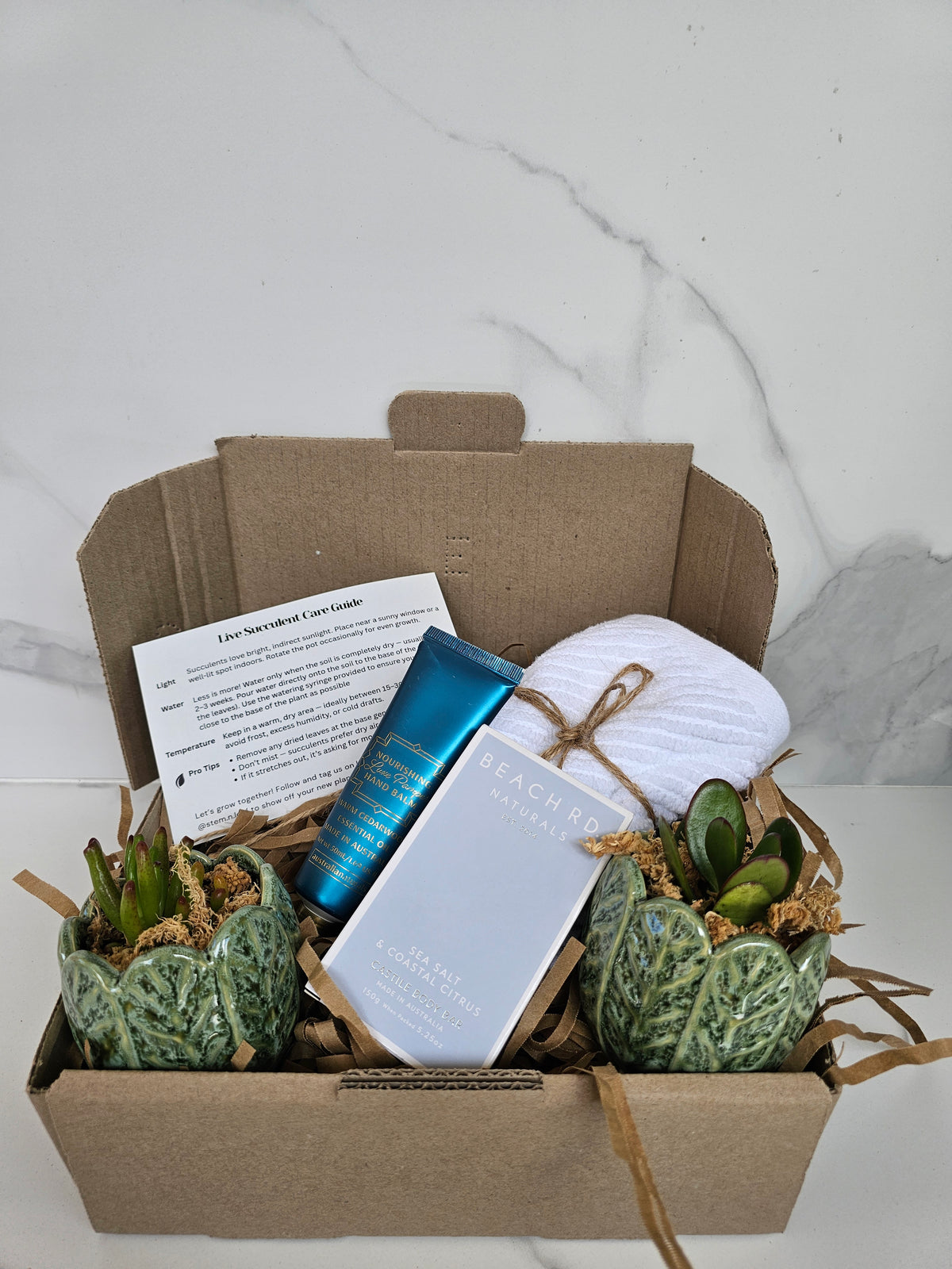 Succulent Gift Set Box | Sage Green Ceramic Pots & Hand Care Gift