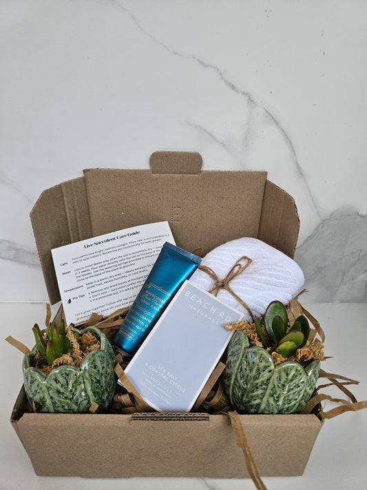 Succulent Gift Set Box | Sage Green Ceramic Pots & Hand Care Gift