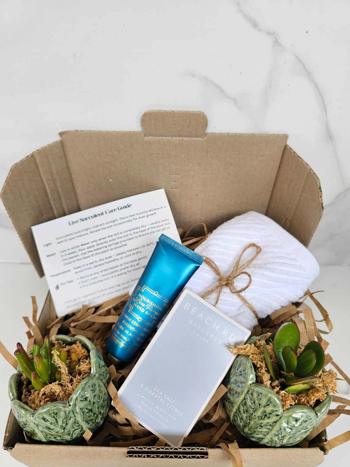 Succulent Gift Set Box | Sage Green Ceramic Pots & Hand Care Gift