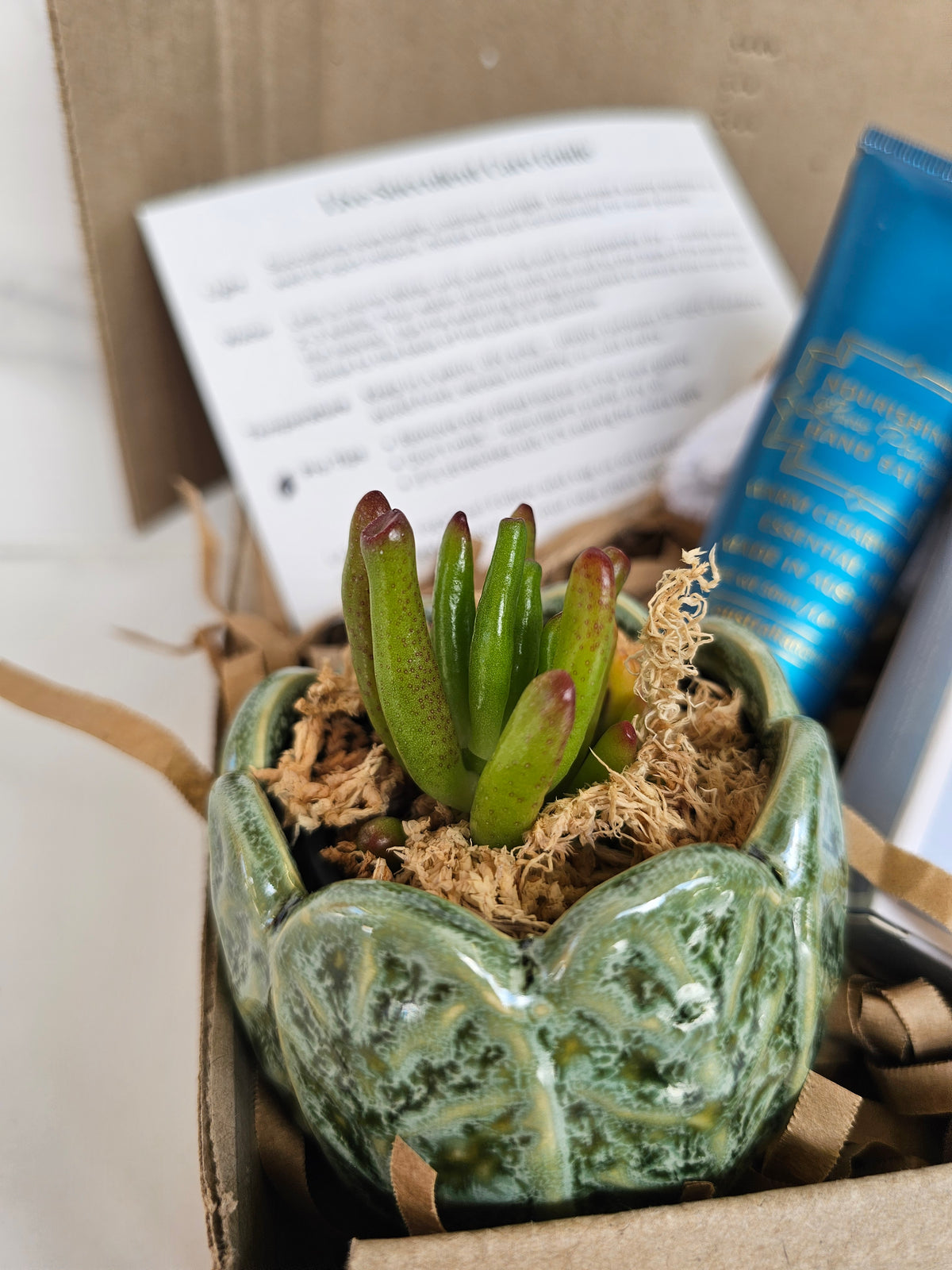 Succulent Gift Set Box | Sage Green Ceramic Pots & Hand Care Gift