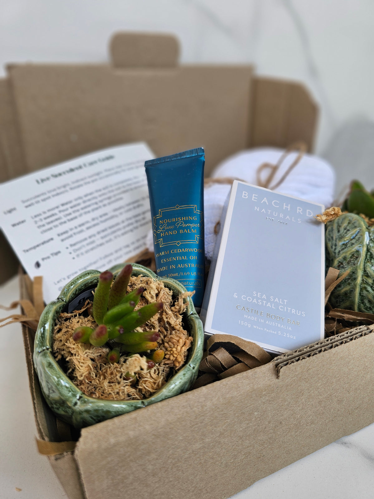 Succulent Gift Set Box | Sage Green Ceramic Pots & Hand Care Gift