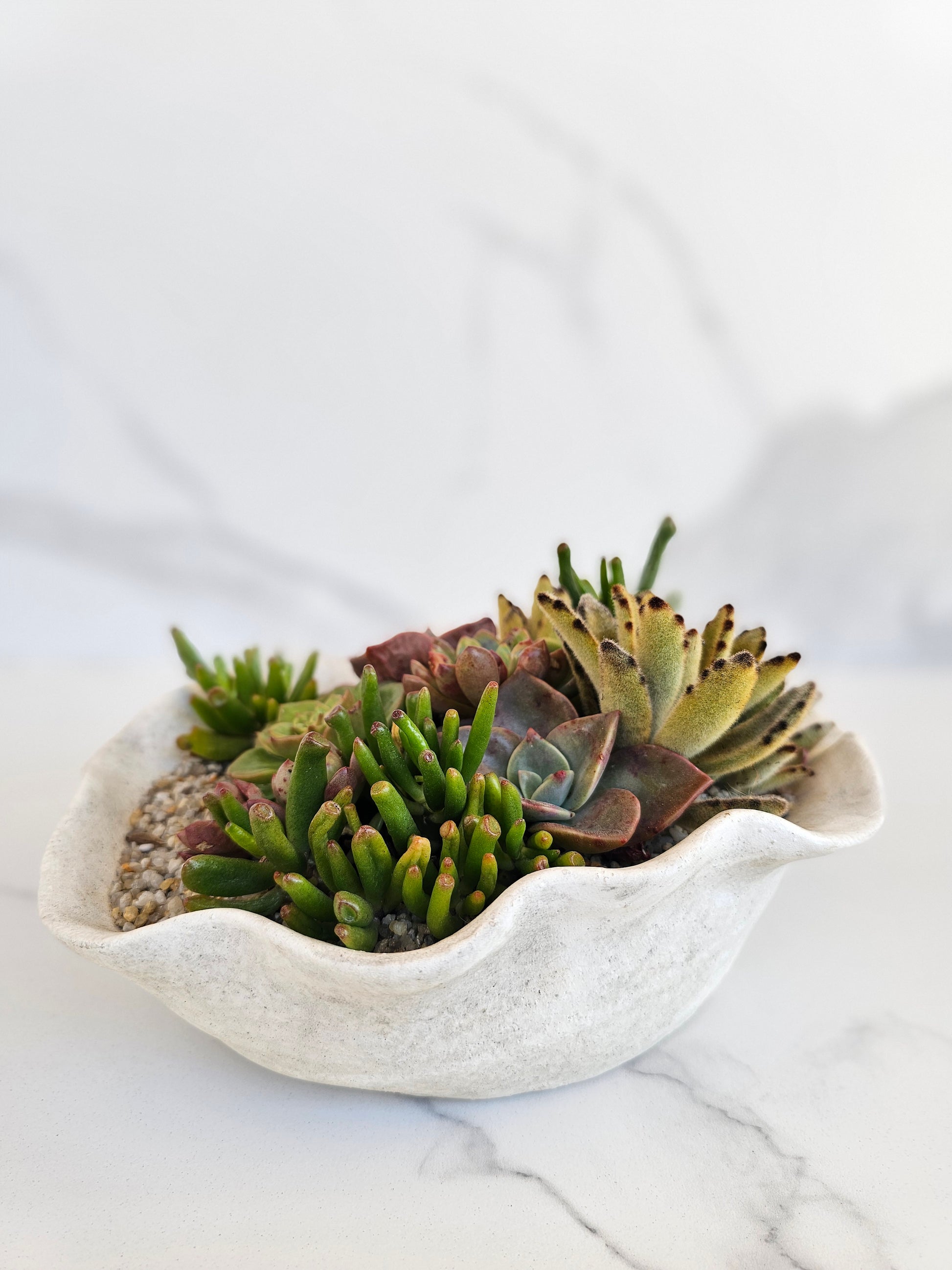 Modern ceramic succulent planter in neutral tones for home decor