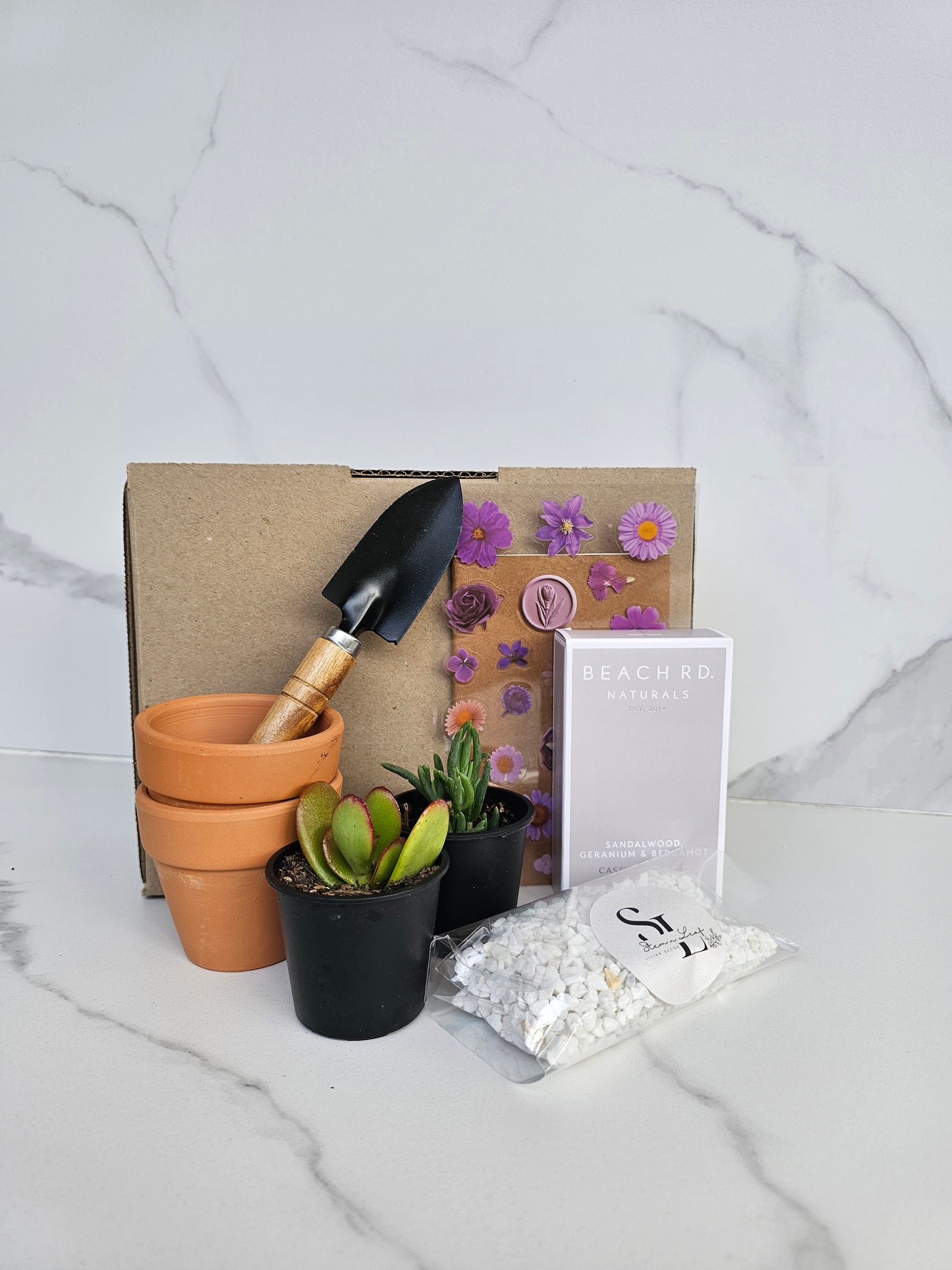 Complete succulent starter gift set with multiple small potted plants