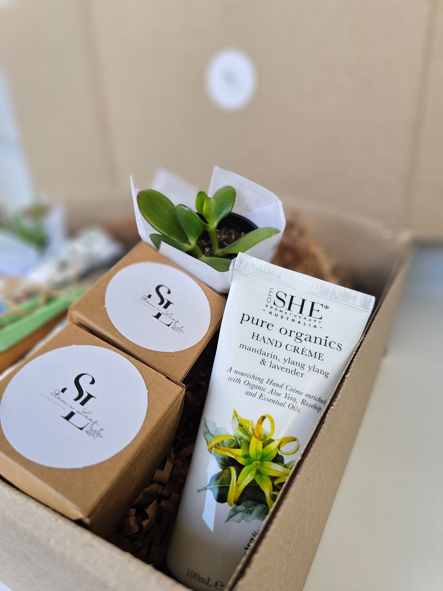 Hand cream tube and box with a plant on a beige background