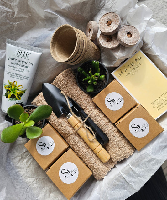 Kitchen Garden Herb Starter or Cut Flower Garden Gift Box Set Grow Fresh Basil, Parsley, Lemon Balm and Dill