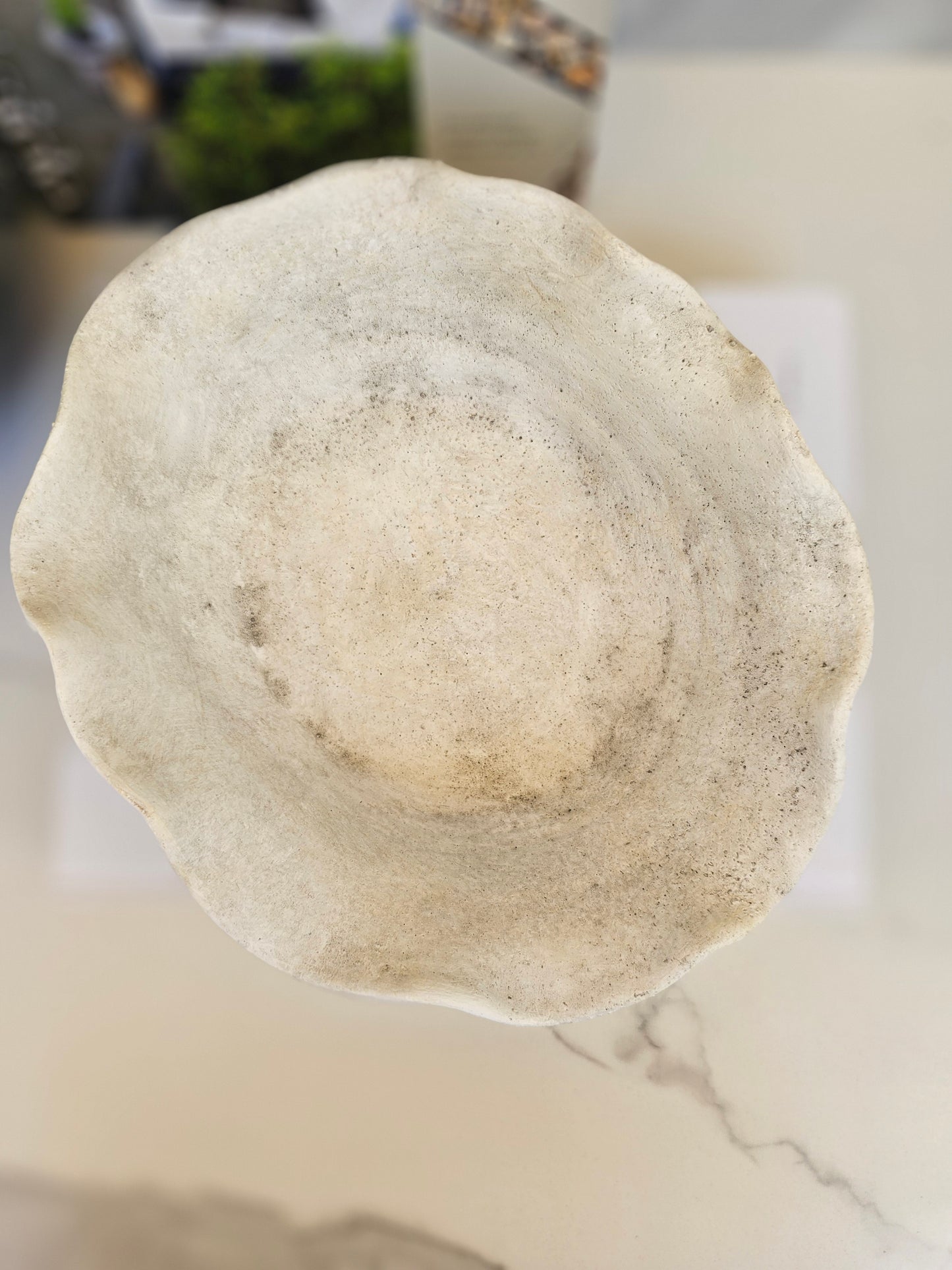 Sculptural bowl planter with organic shape and stone finish ideal for succulents and modern coastal interiors