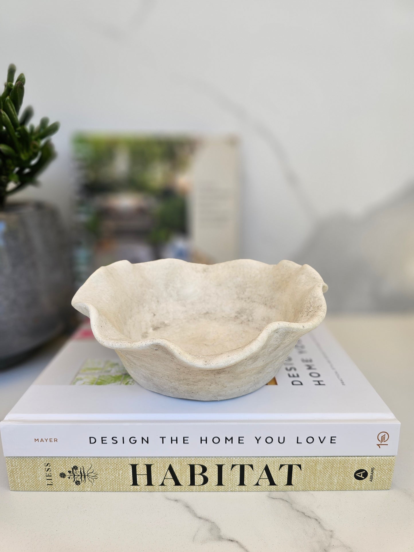 Wide shallow planter bowl with soft curved edges for succulent arrangements and minimalist home decor