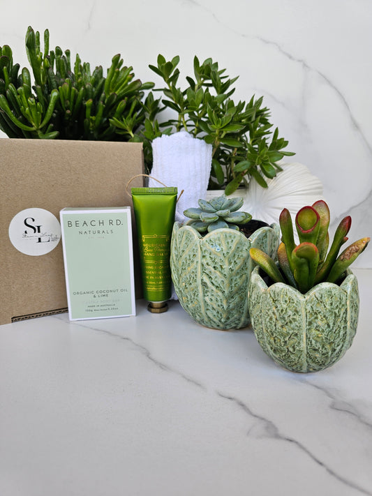 Succulent Gift Set Box | Sage Green Ceramic Pots & Hand Care Gift