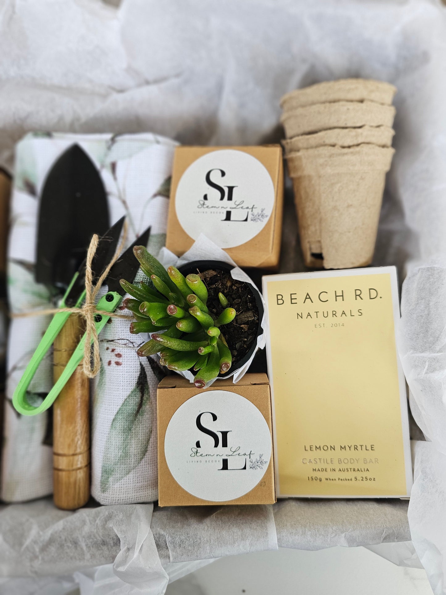 Kitchen Garden Herb Starter Gift Box Grow Fresh Basil, Mint, Oregano & Parsley