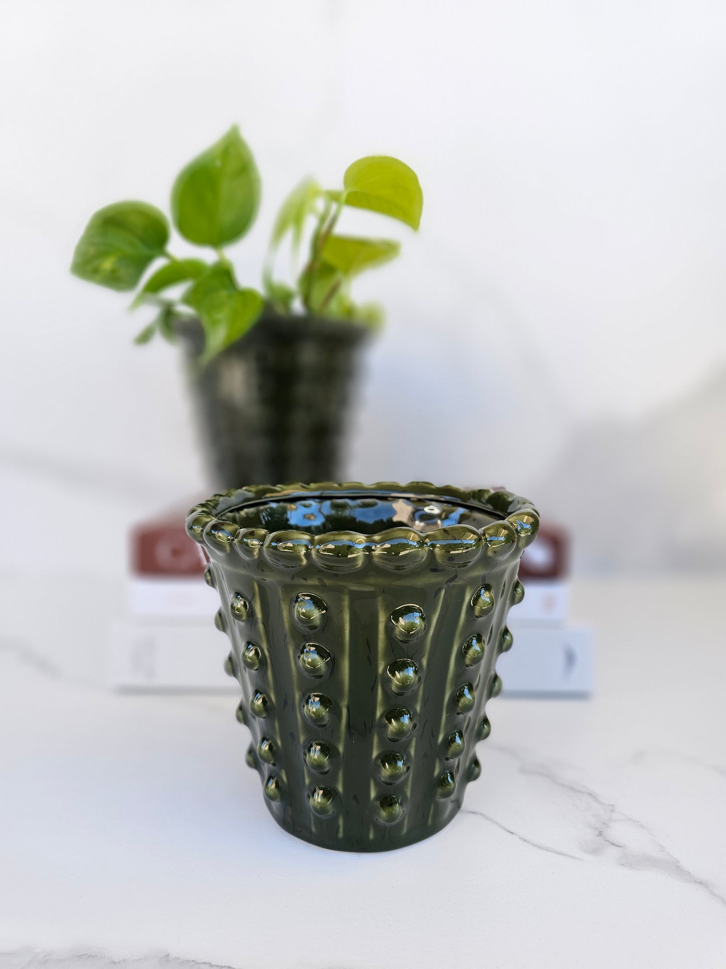 Empty deep green ceramic planter suitable for succulents, cacti and indoor plants.