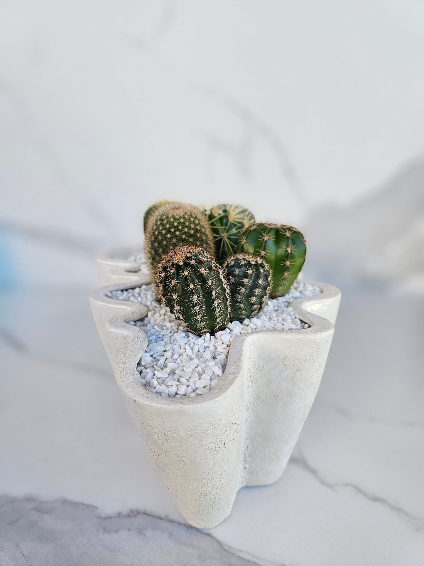 Large cactus centerpiece in white wavy organic shaped ceramic planter