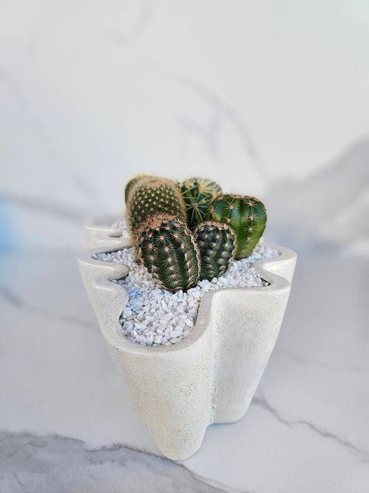 Large cactus centerpiece in white wavy organic shaped ceramic planter