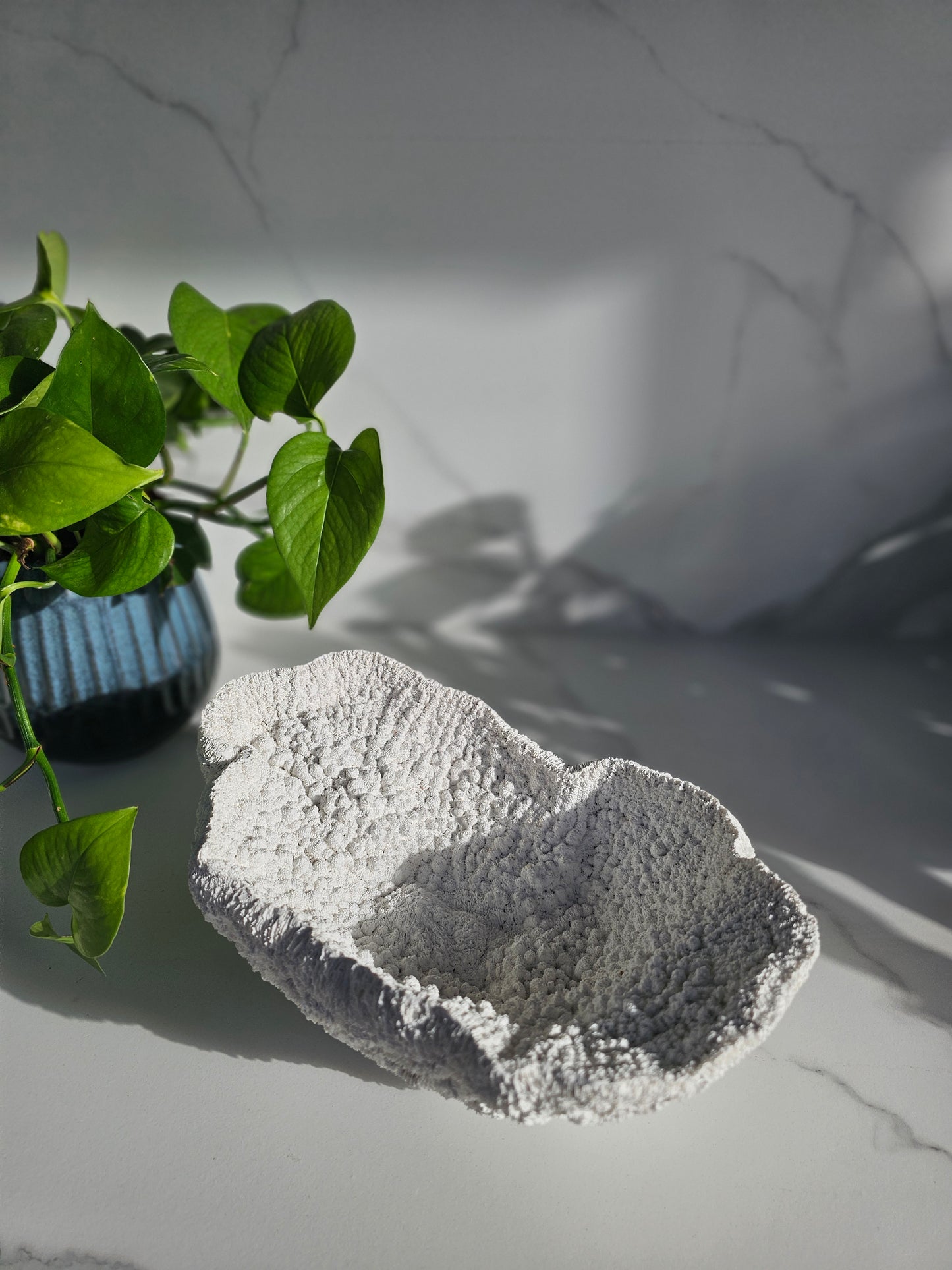Coral Bowl | Sculptural Decorative Bowl | Neutral Textured Home Decor | Modern Coastal Styling