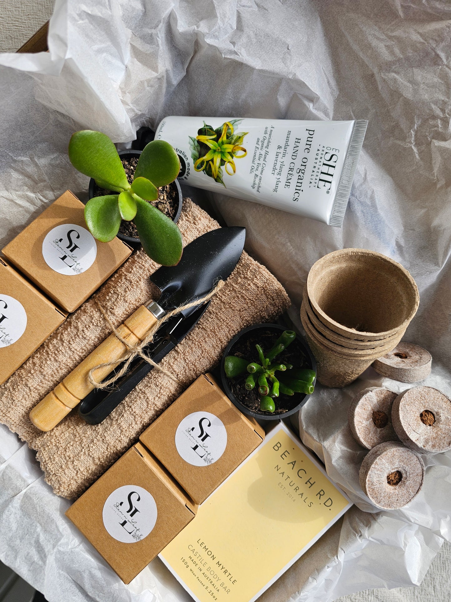 Kitchen Garden Herb Starter or Cut Flower Garden Gift Box Set Grow Fresh Basil, Parsley, Lemon Balm and Dill