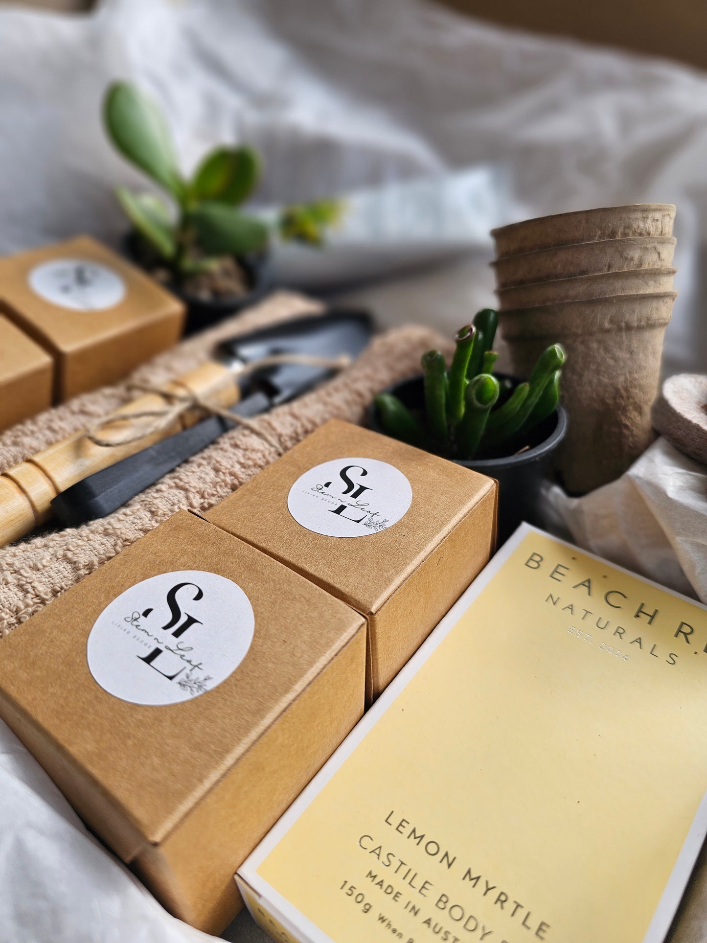 Kitchen Garden Herb Starter or Cut Flower Garden Gift Box Set Grow Fresh Basil, Parsley, Lemon Balm and Dill