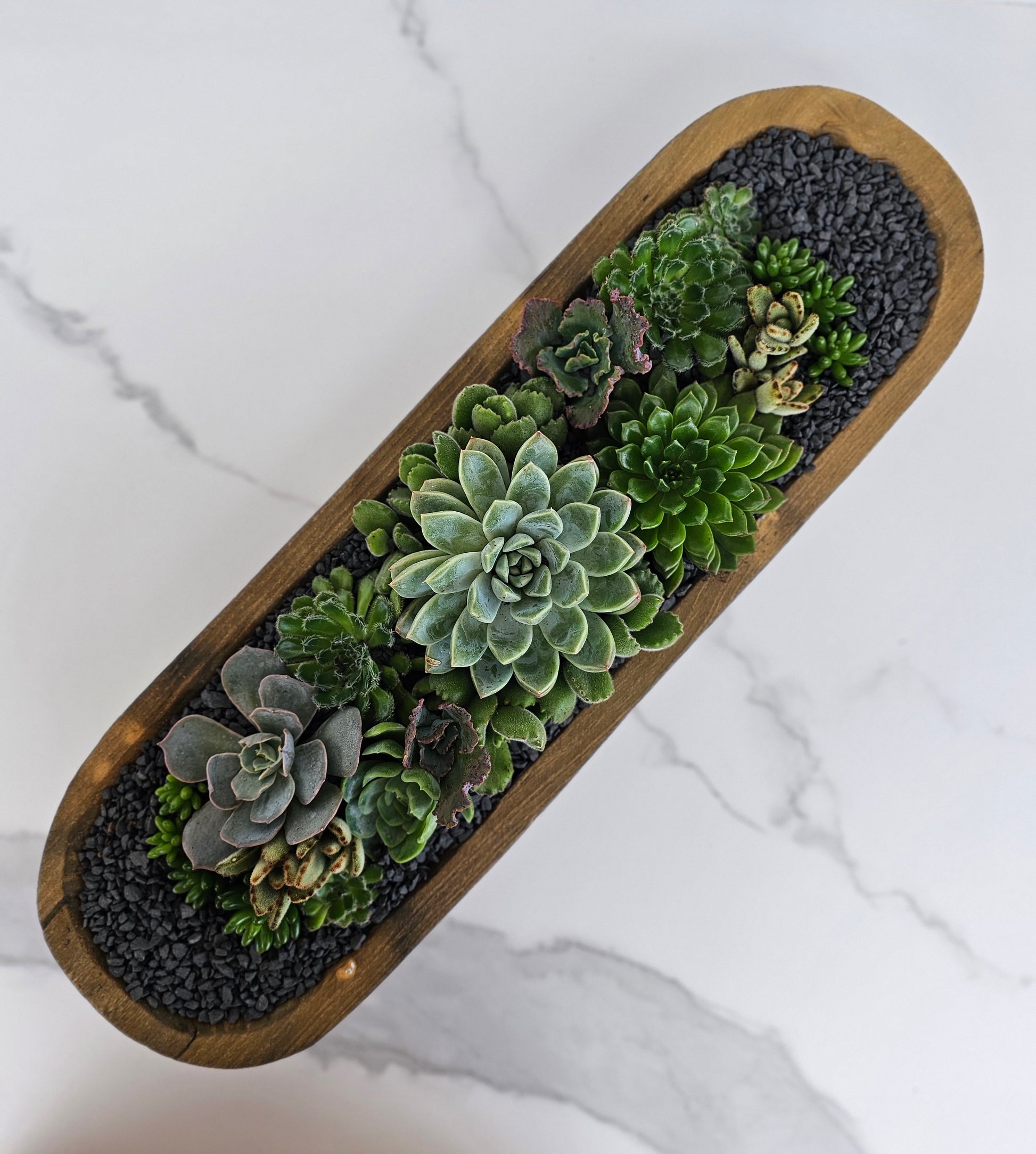 Natural wood trough planter with healthy succulent varieties