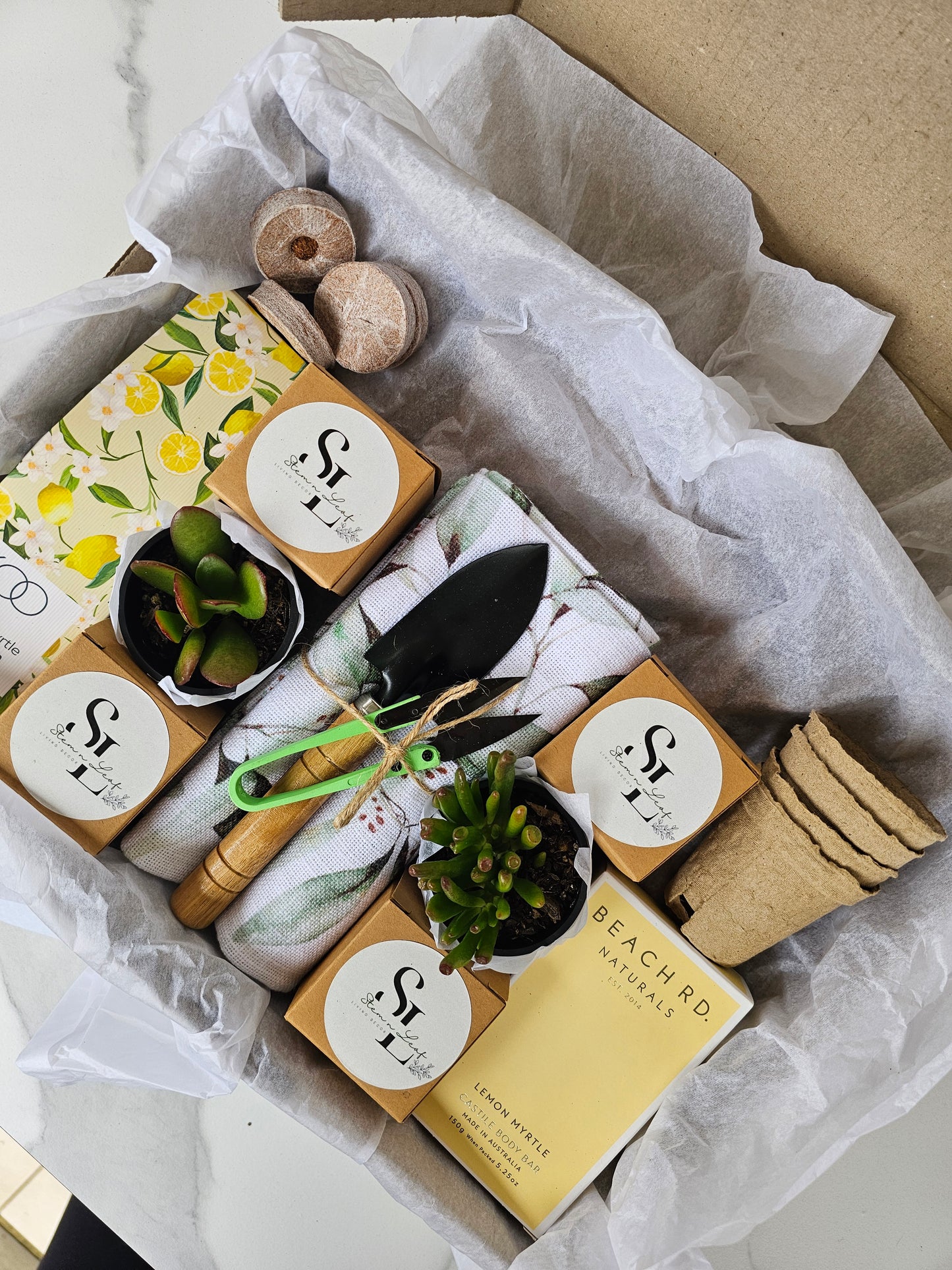 Kitchen Garden Herb Starter Gift Box Grow Fresh Basil, Mint, Oregano & Parsley