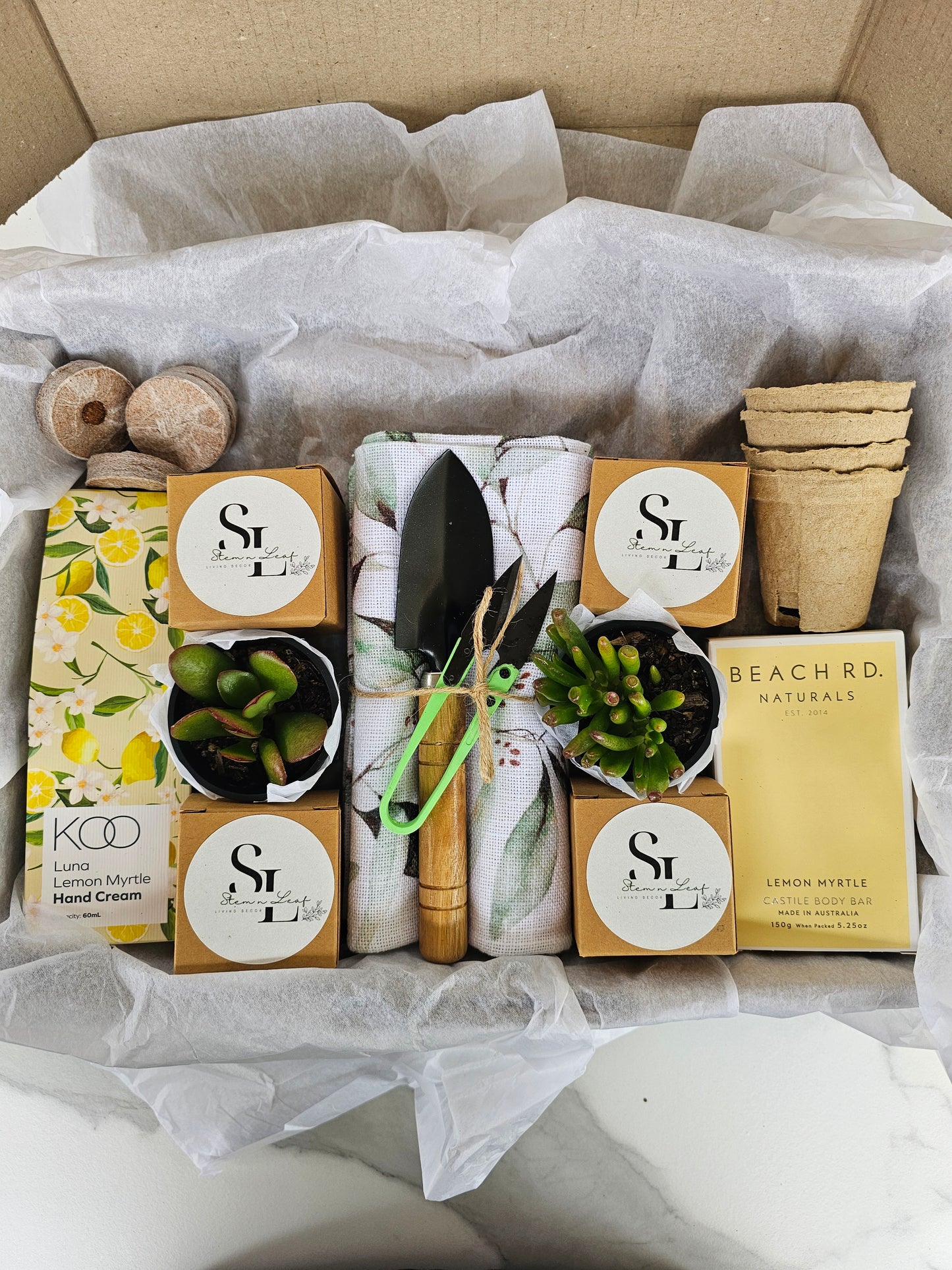 Kitchen Garden Herb Starter Gift Box Grow Fresh Basil, Mint, Oregano & Parsley