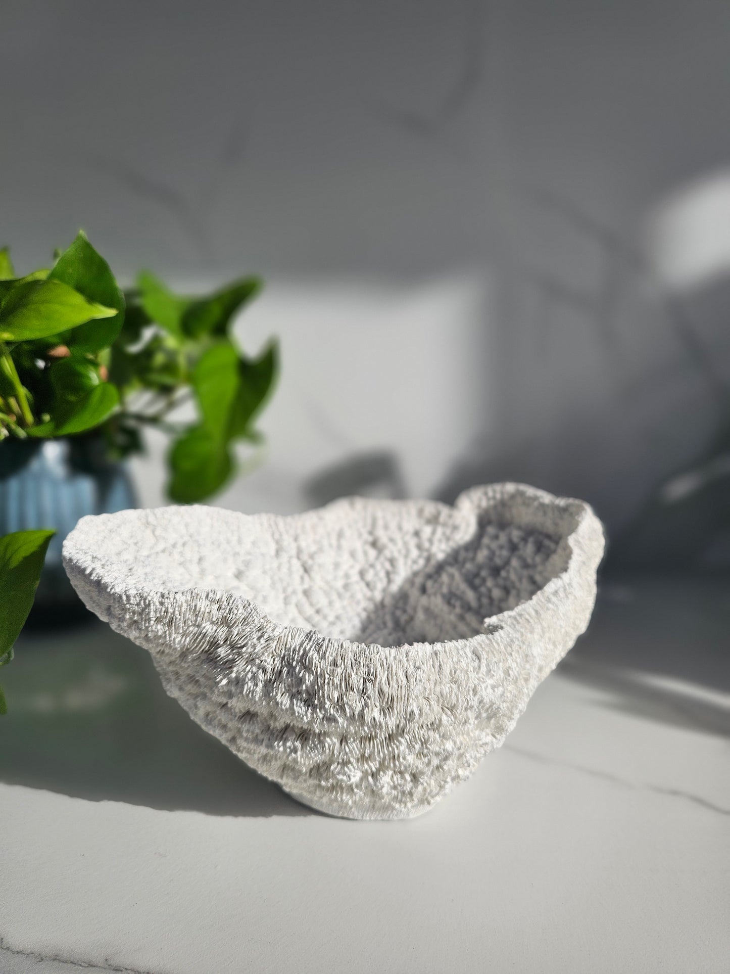 Coral Bowl | Sculptural Decorative Bowl | Neutral Textured Home Decor | Modern Coastal Styling