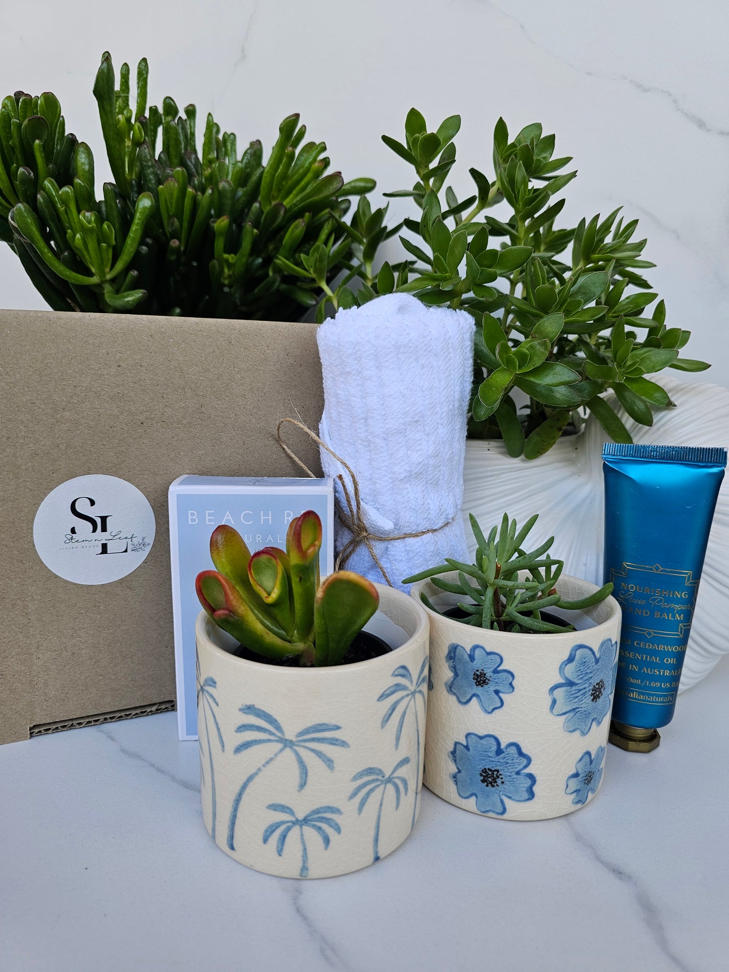 Succulent Gift Set Box | Baby Blue Ceramic Pots & Hand Care Gift