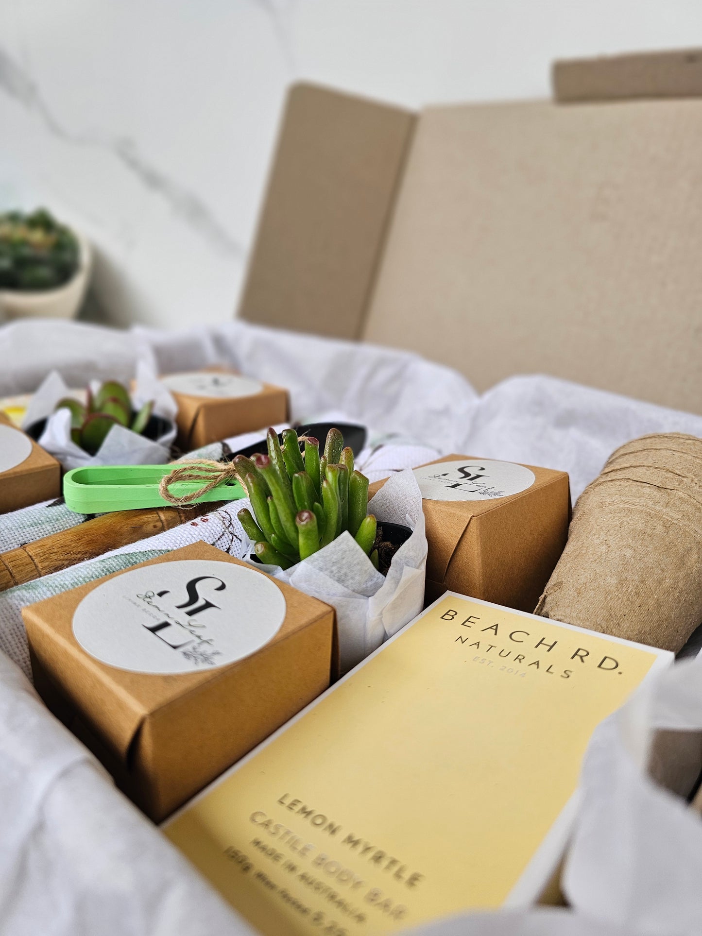 Kitchen Garden Herb Starter Gift Box Grow Fresh Basil, Mint, Oregano & Parsley