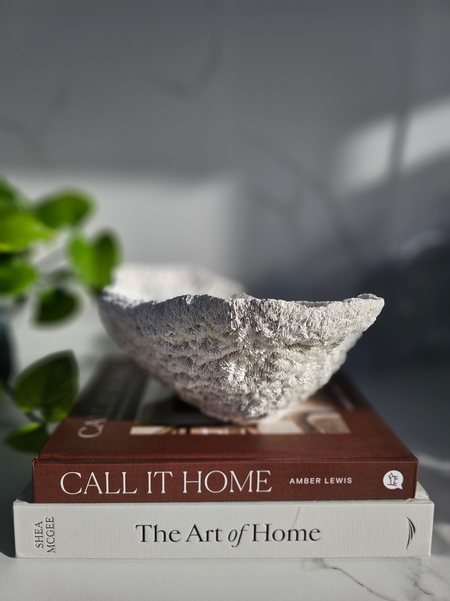 Coral Bowl | Sculptural Decorative Bowl | Neutral Textured Home Decor | Modern Coastal Styling