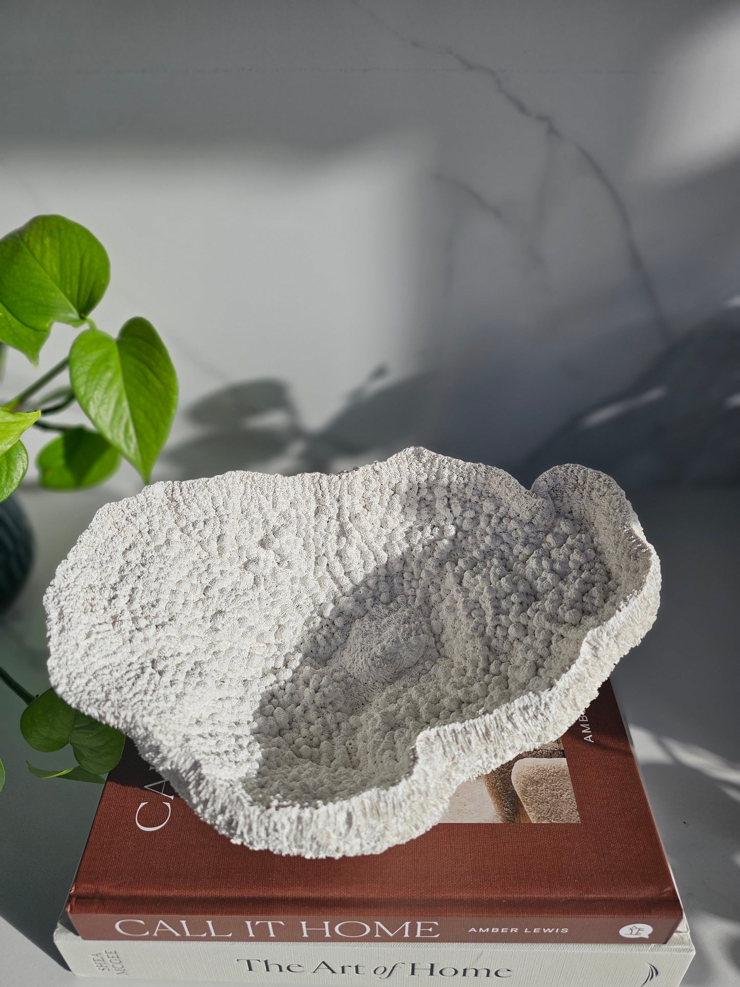 Coral Bowl | Sculptural Decorative Bowl | Neutral Textured Home Decor | Modern Coastal Styling