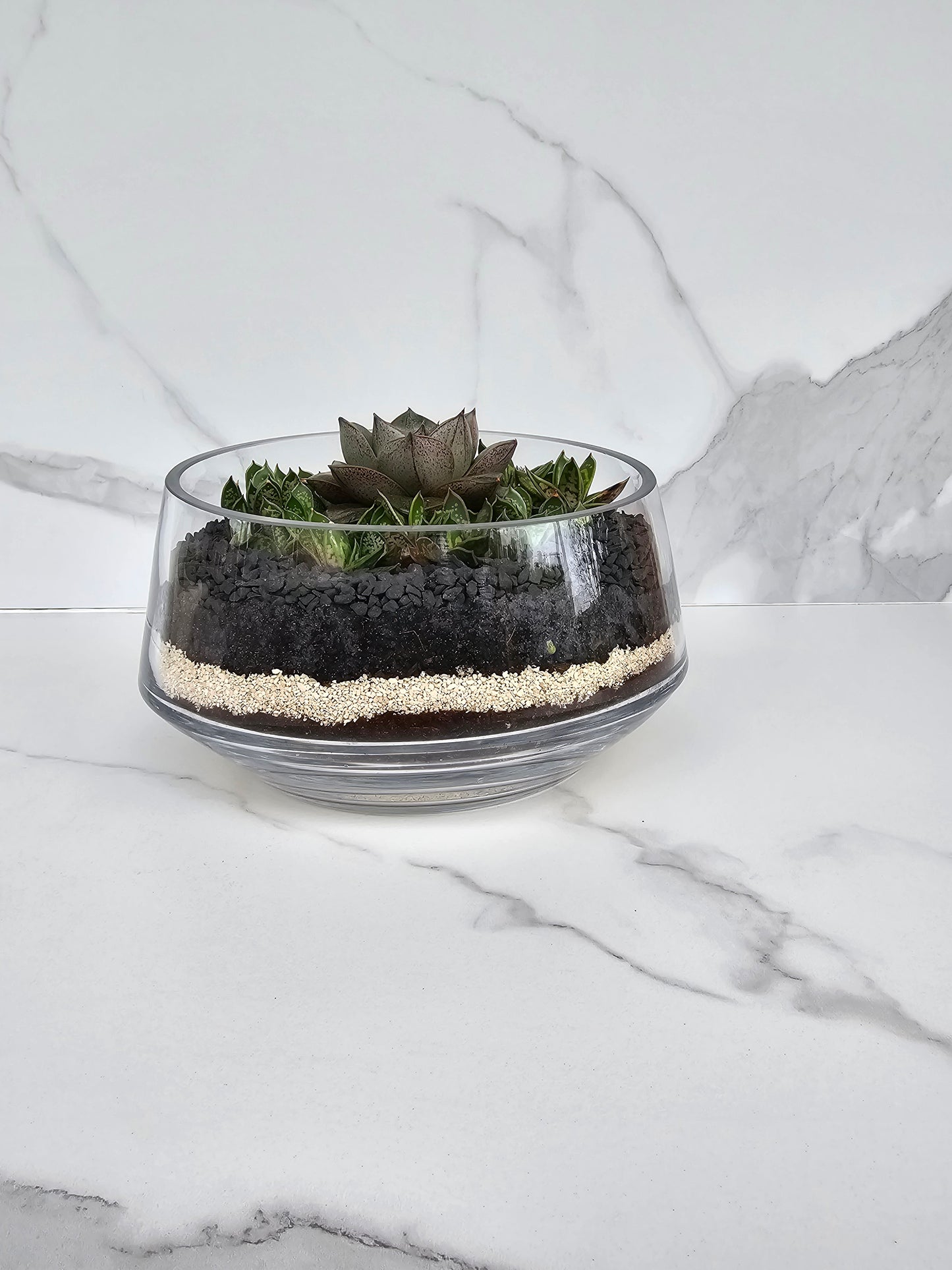 Layered sempervivum succulent arrangement in clear glass planter