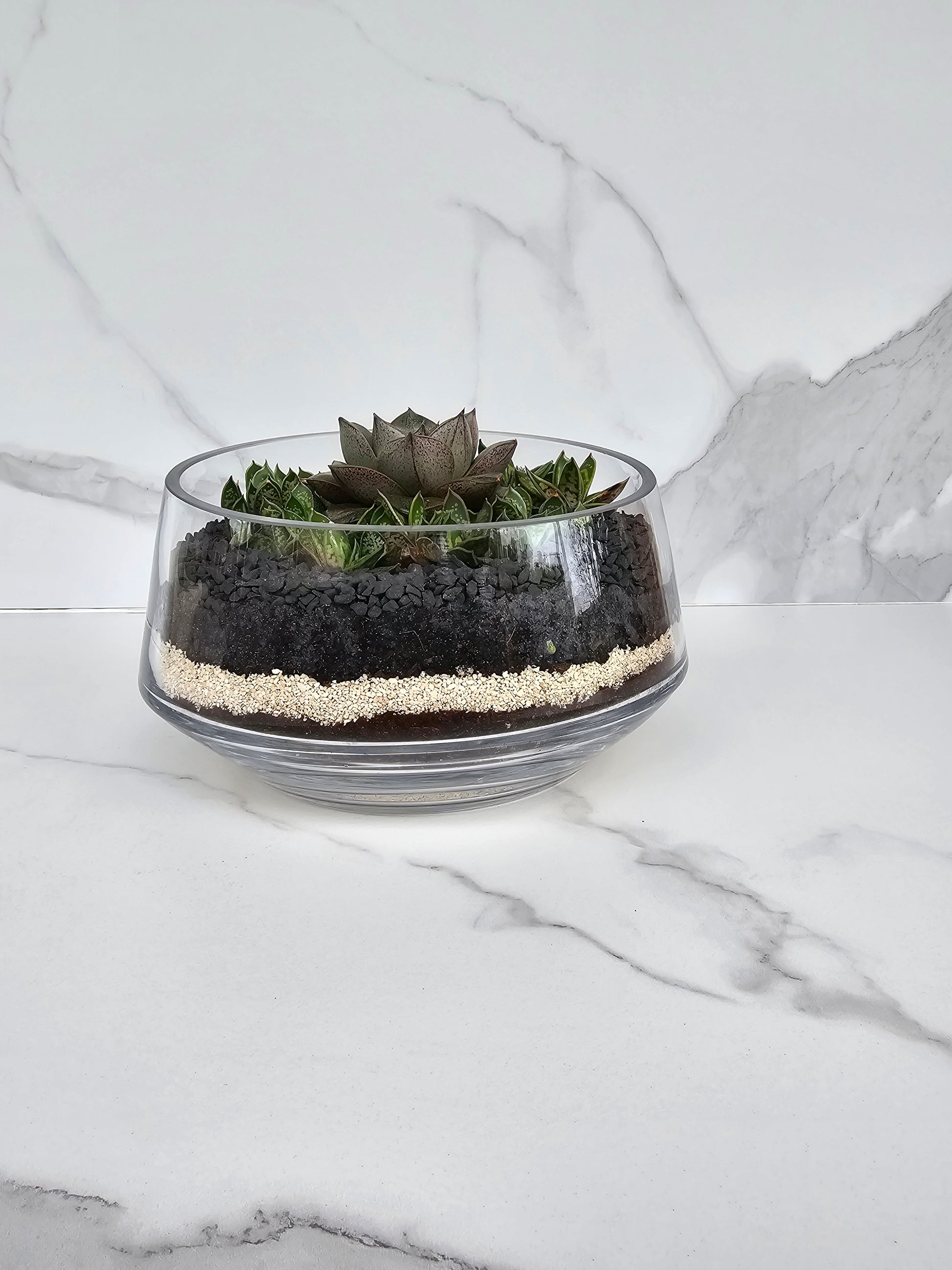 Layered sempervivum succulent arrangement in clear glass planter