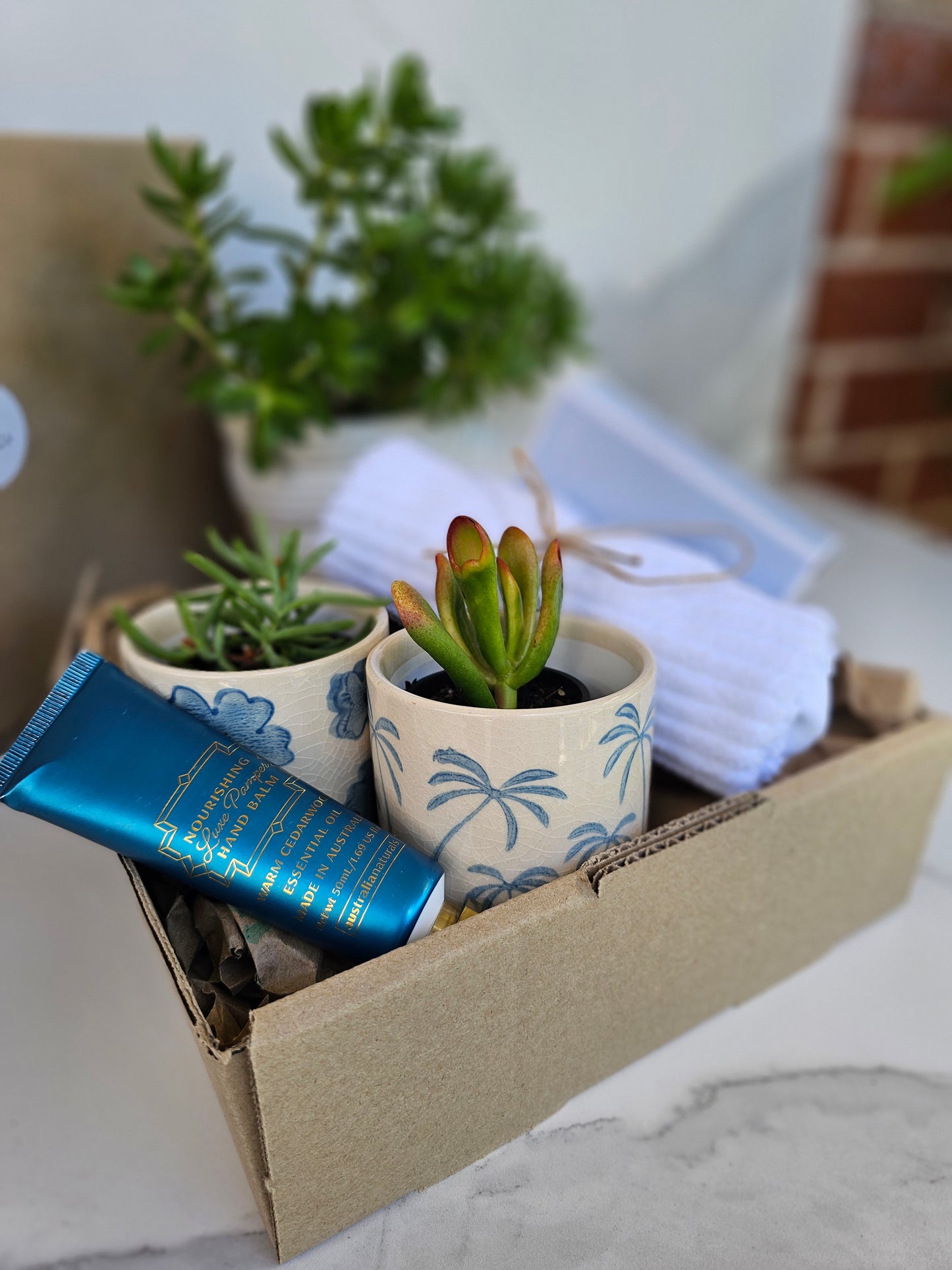 Succulent Gift Set Box | Baby Blue Ceramic Pots & Hand Care Gift
