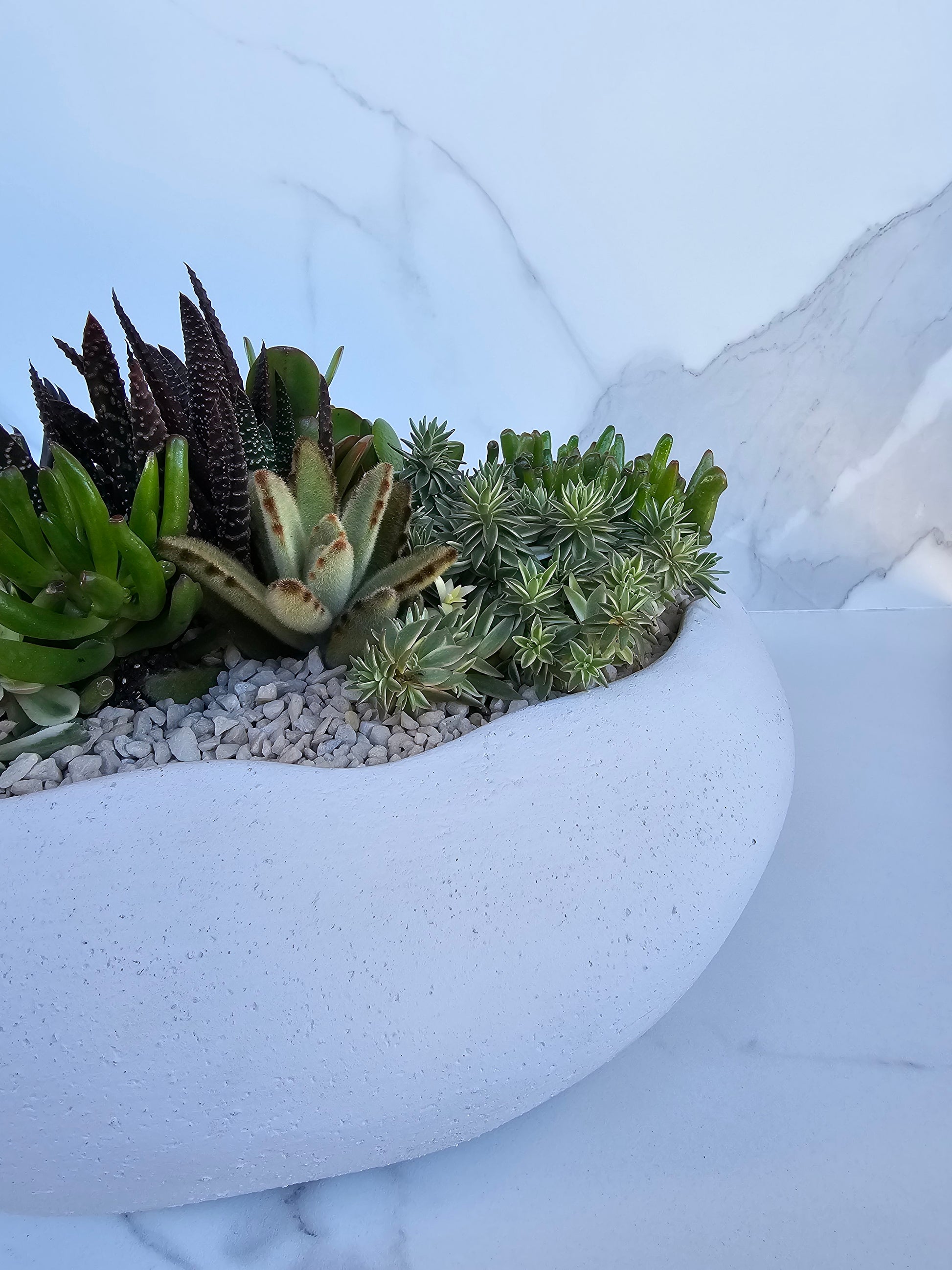 Live succulent centerpiece in large neutral ceramic round bowl planter