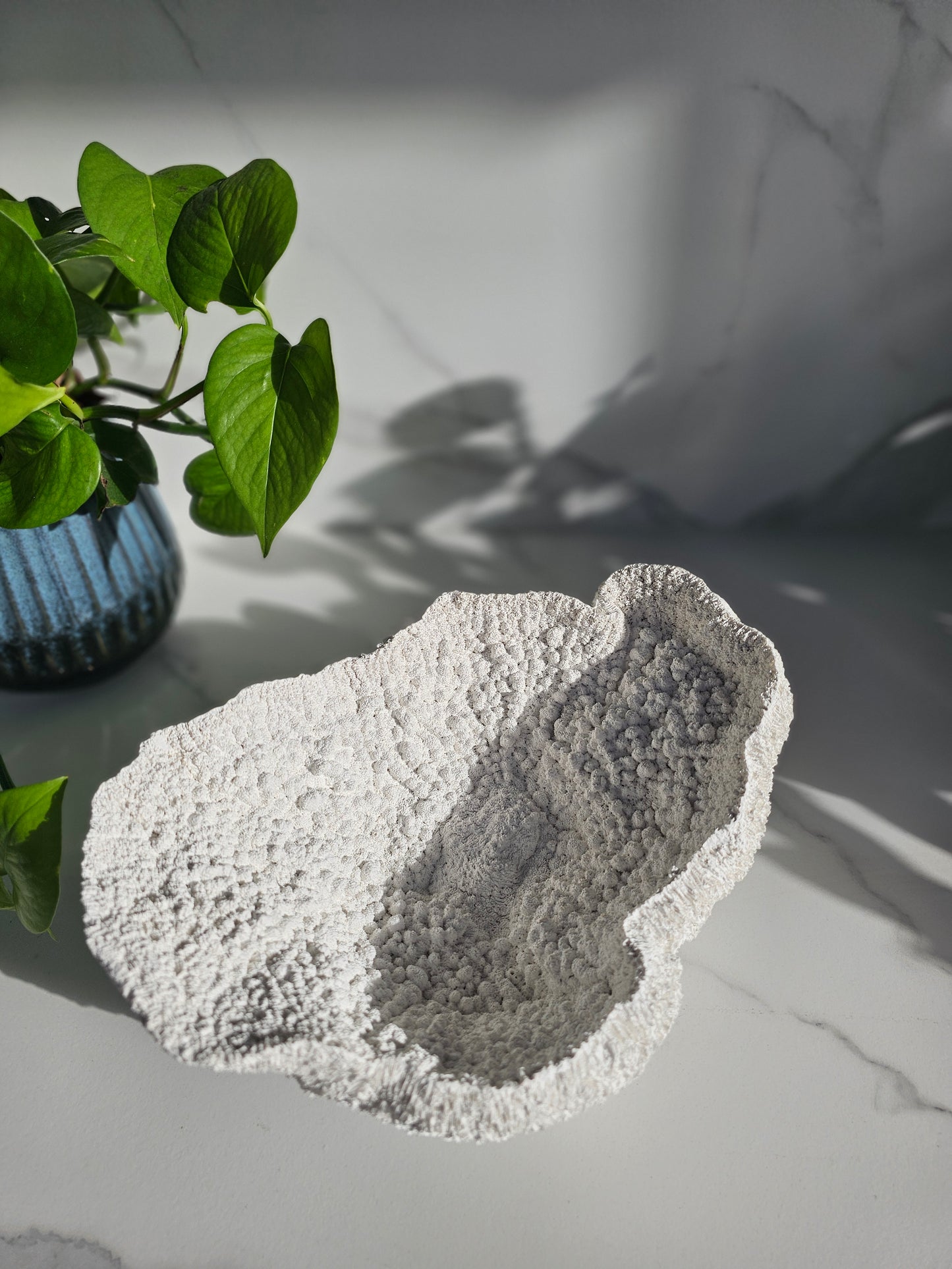 Coral Bowl | Sculptural Decorative Bowl | Neutral Textured Home Decor | Modern Coastal Styling