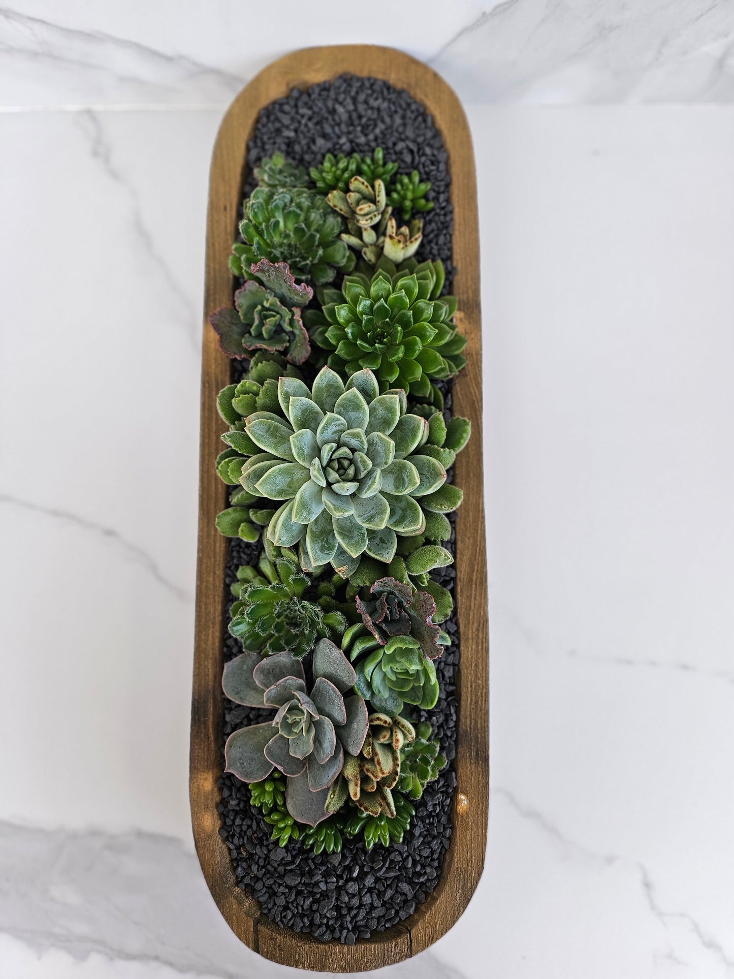Rustic wooden trough succulent arrangement perfect for indoor plant display