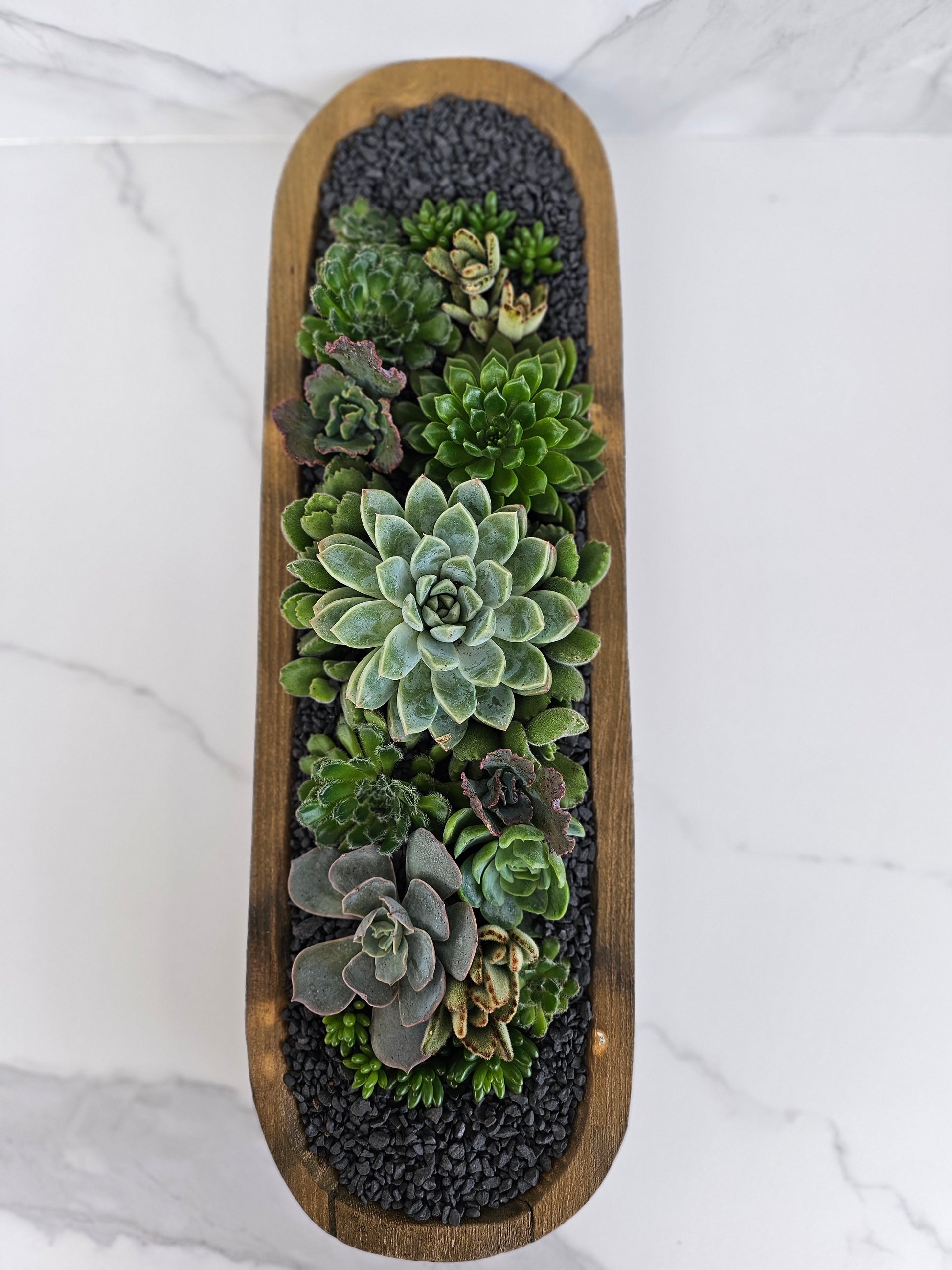 Rustic wooden trough succulent arrangement perfect for indoor plant display