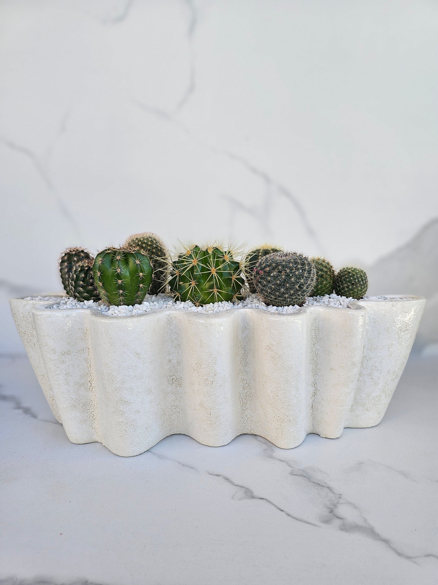 Large cactus centerpiece in white wavy organic shaped ceramic planter