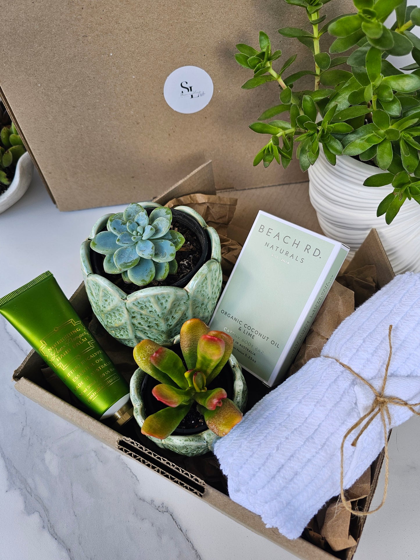 Succulent Gift Set Box | Sage Green Ceramic Pots & Hand Care Gift