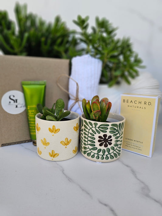 Succulent Gift Set Box | Green and Yellow Ceramic Pots & Hand Care Gift