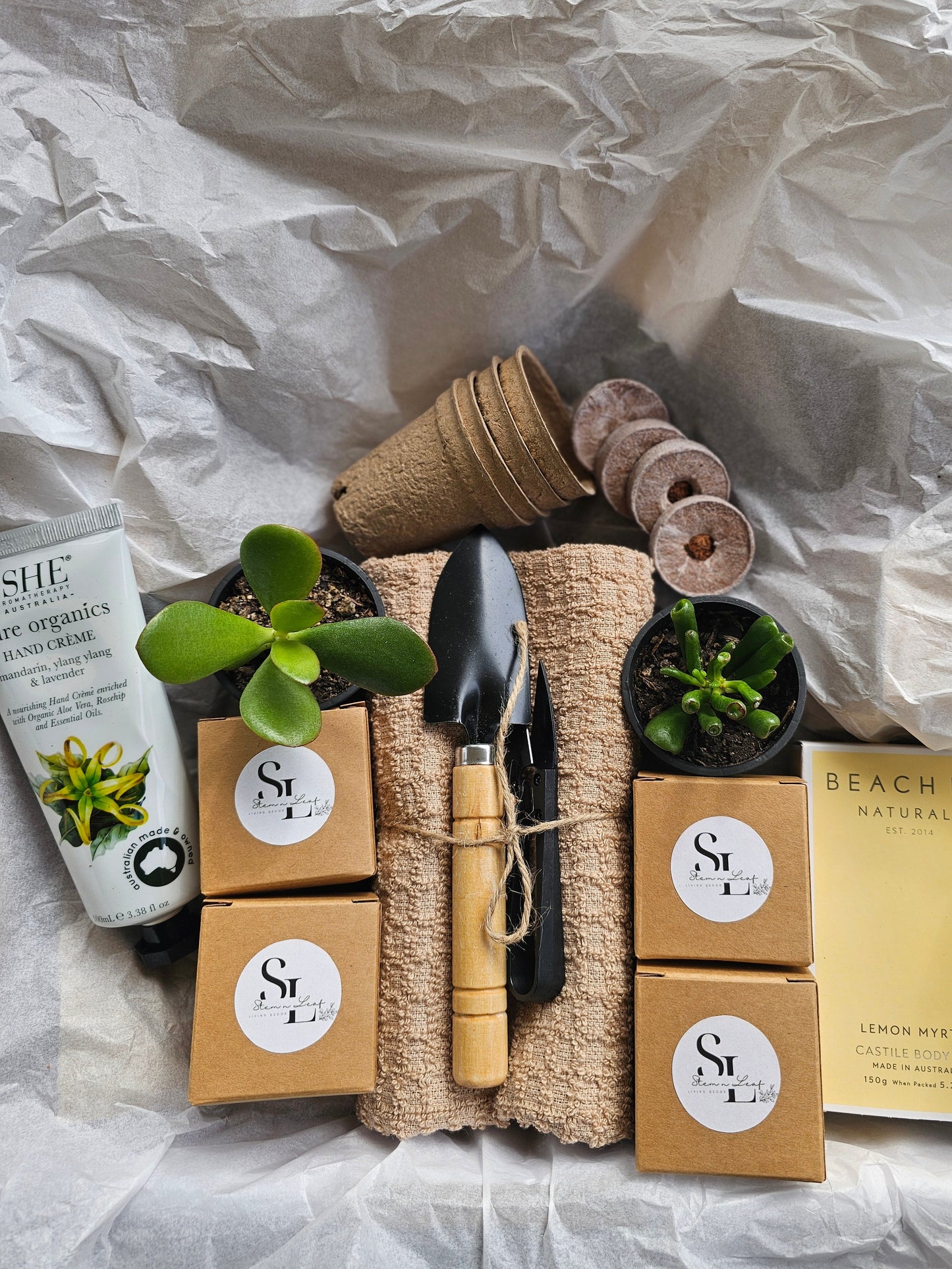 Kitchen Garden Herb Starter or Cut Flower Garden Gift Box Set Grow Fresh Basil, Parsley, Lemon Balm and Dill