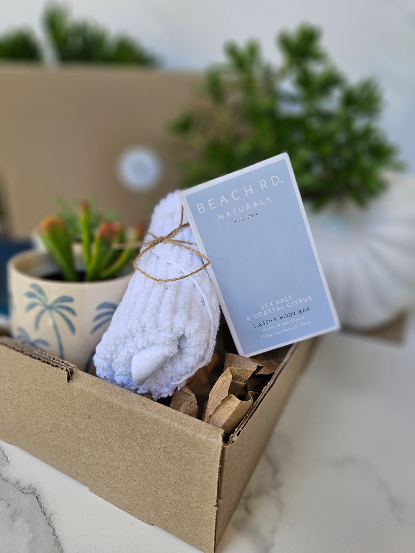 Succulent Gift Set Box | Baby Blue Ceramic Pots & Hand Care Gift