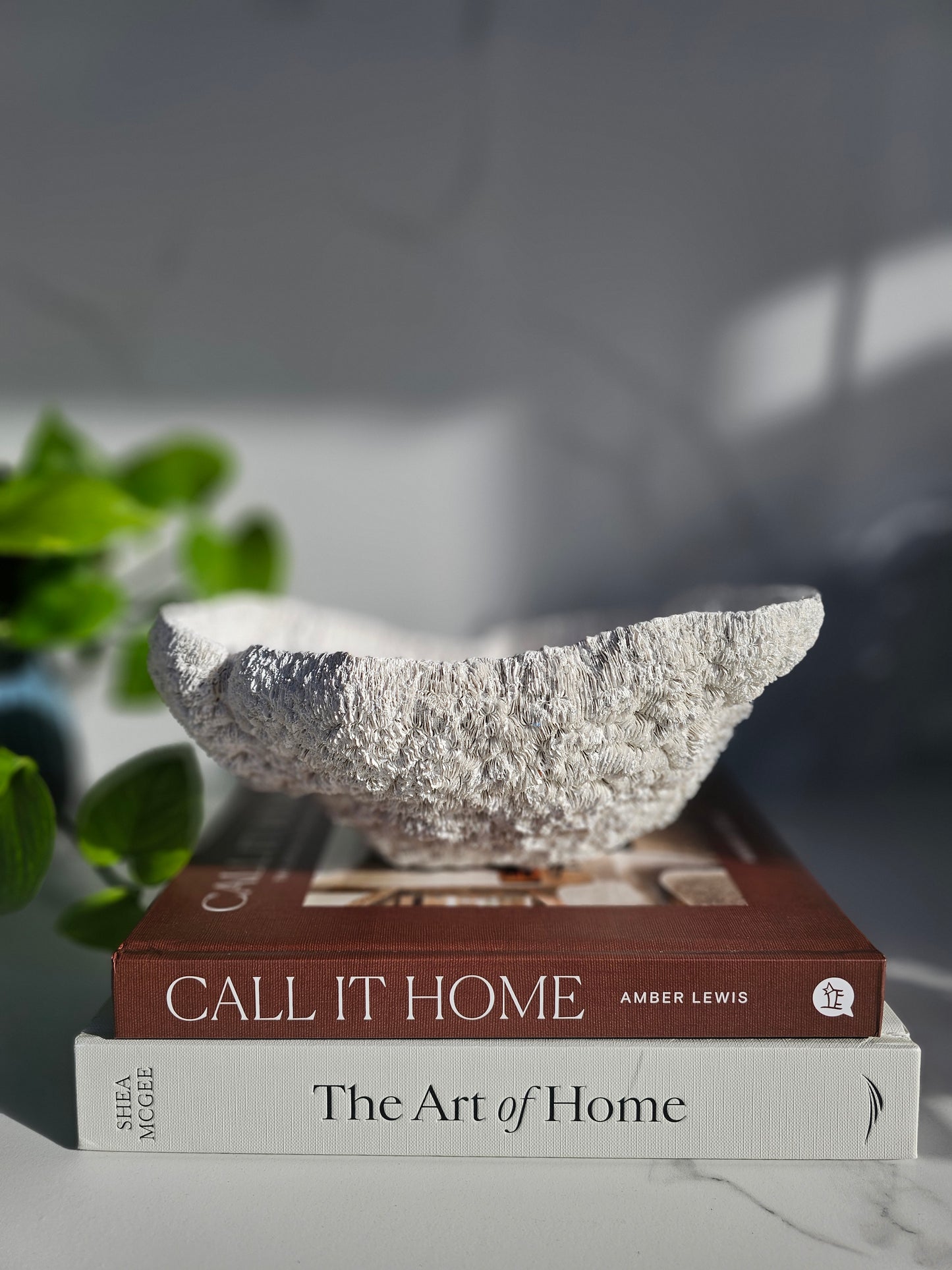 Coral Bowl | Sculptural Decorative Bowl | Neutral Textured Home Decor | Modern Coastal Styling