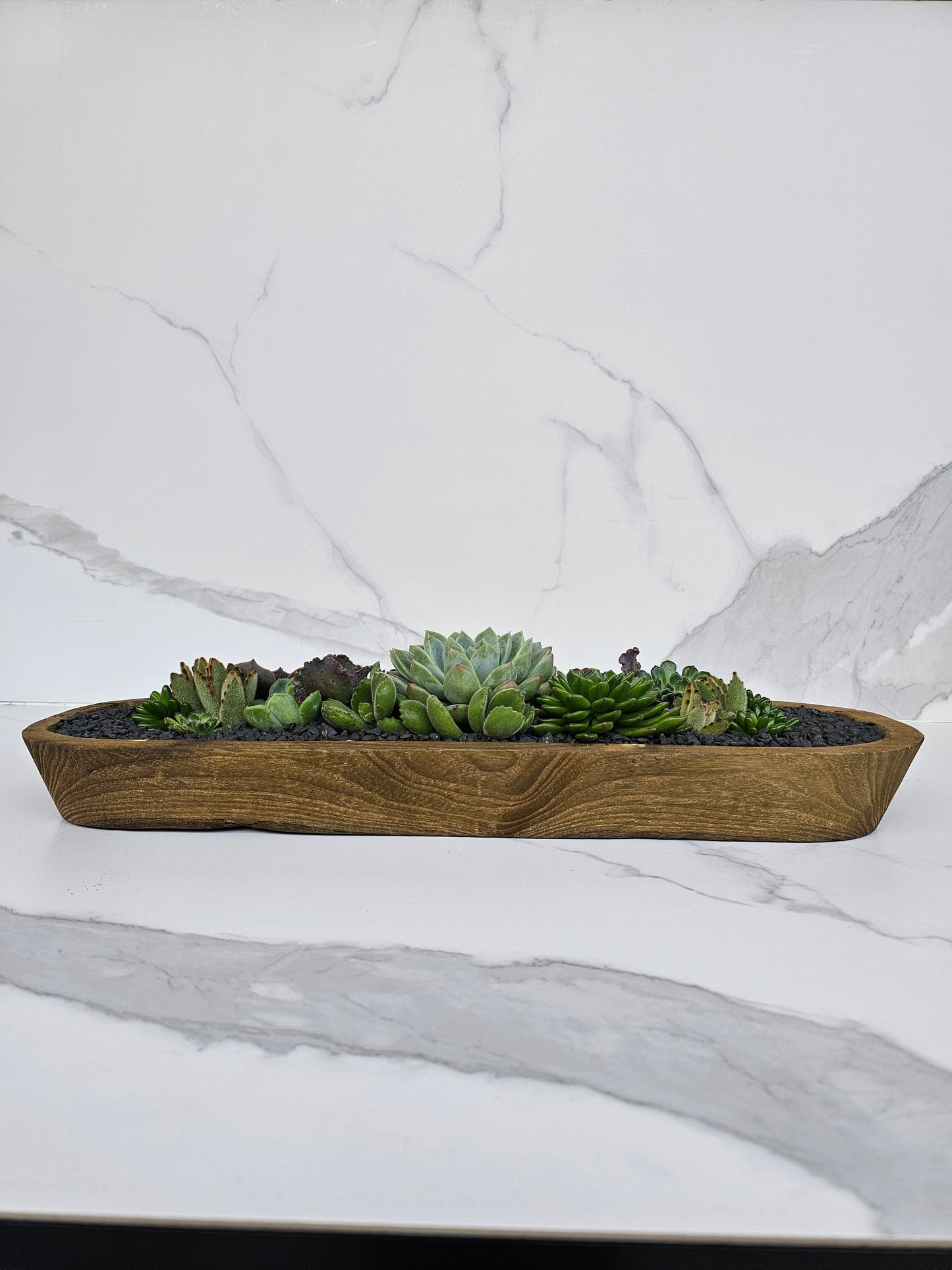 Live succulent arrangement in rustic wooden trough planter for minimalist decor