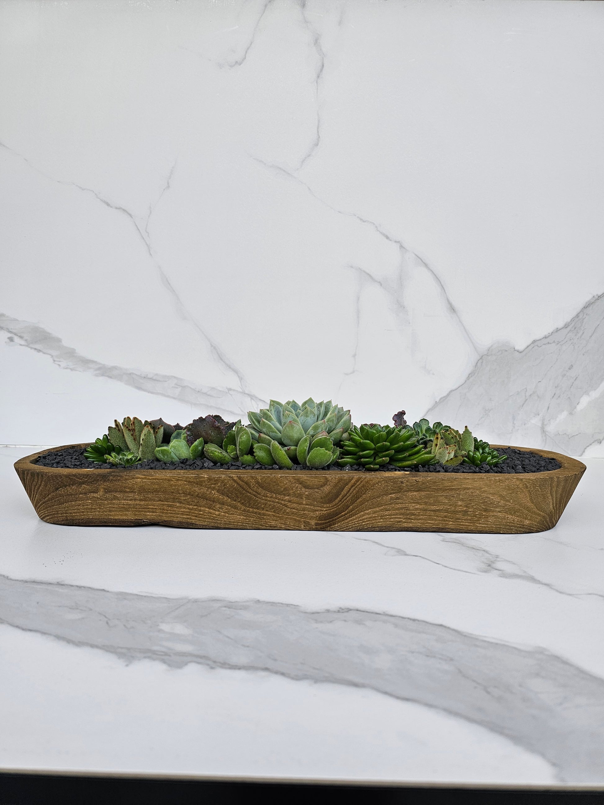 Live succulent arrangement in rustic wooden trough planter for minimalist decor