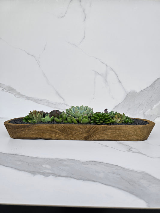 Live succulent arrangement in rustic wooden trough planter for minimalist decor